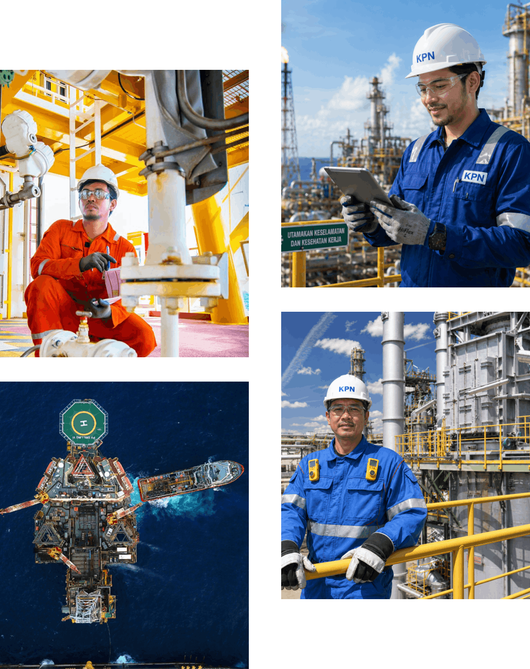 company information